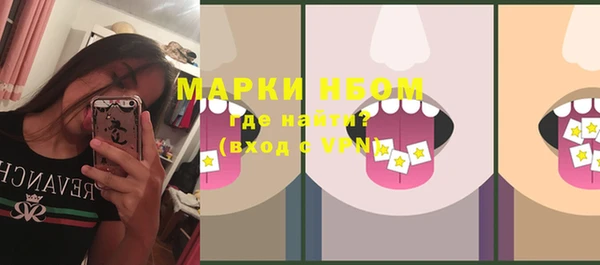 МДПВ Богородск
