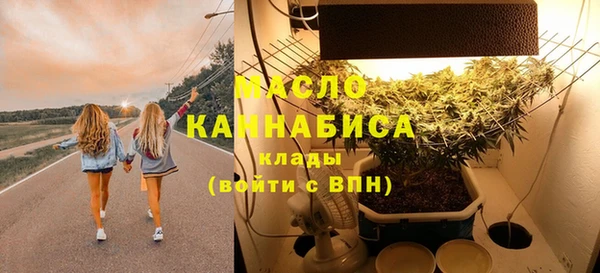 ALPHA PVP Богородицк